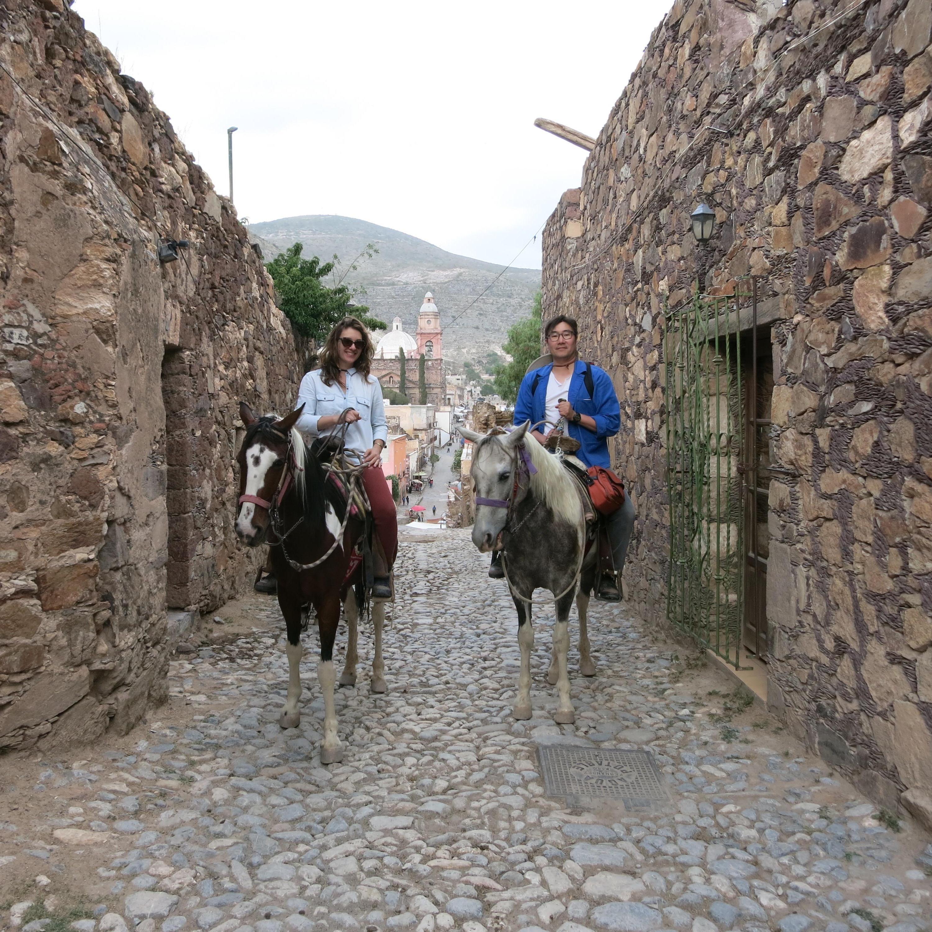Horses in Real de Catorce Mexico
