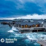 Monterey Bay Aquarium