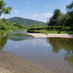 Lareau Farm Swimming Hole