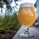 Fieldwork Brewing Company - Corte Madera