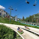 SLC ACTIVITY - Snowbird Alpine Slide and Zipline