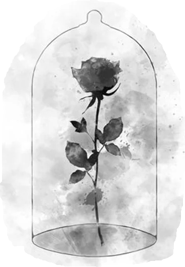 The Wedding Website of Tiffany McConneaughey and Charles Wade