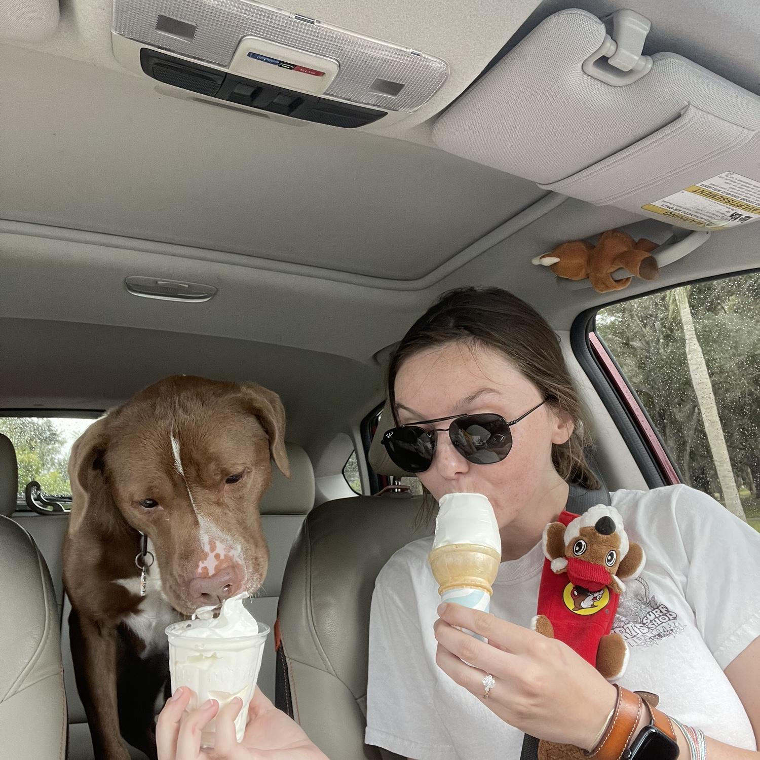 we are pup cup parents