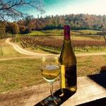 Nottely River Valley Vineyards, LLC