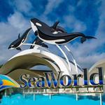 SeaWorld San Diego