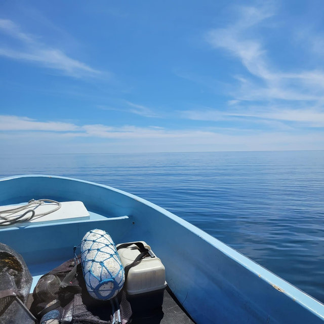 Our Honeymoon Fund: visit Palau