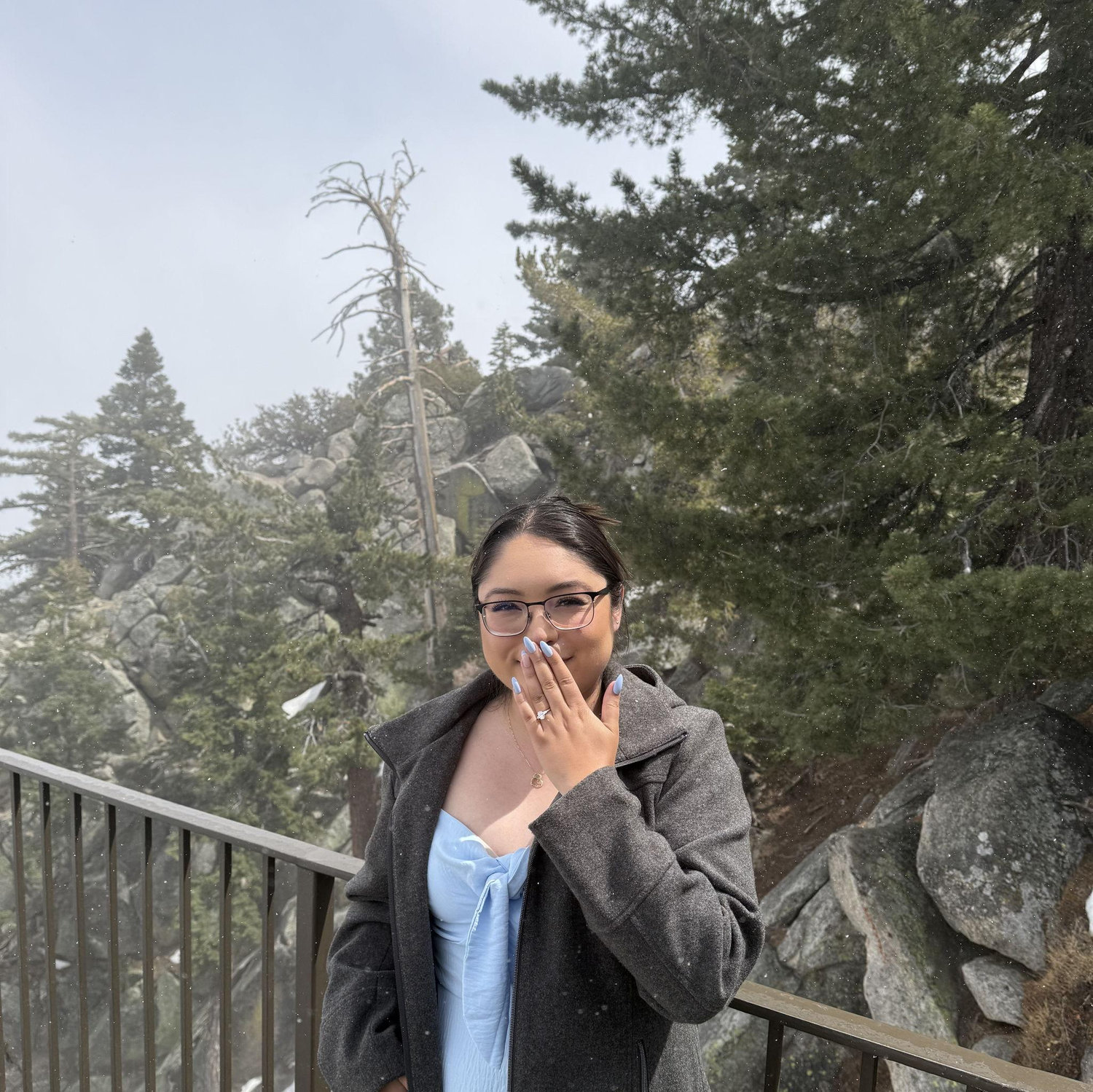 Palm Spring Aerial Tramway- Post Proposal