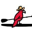 Austin Paddleboard & Kayak
