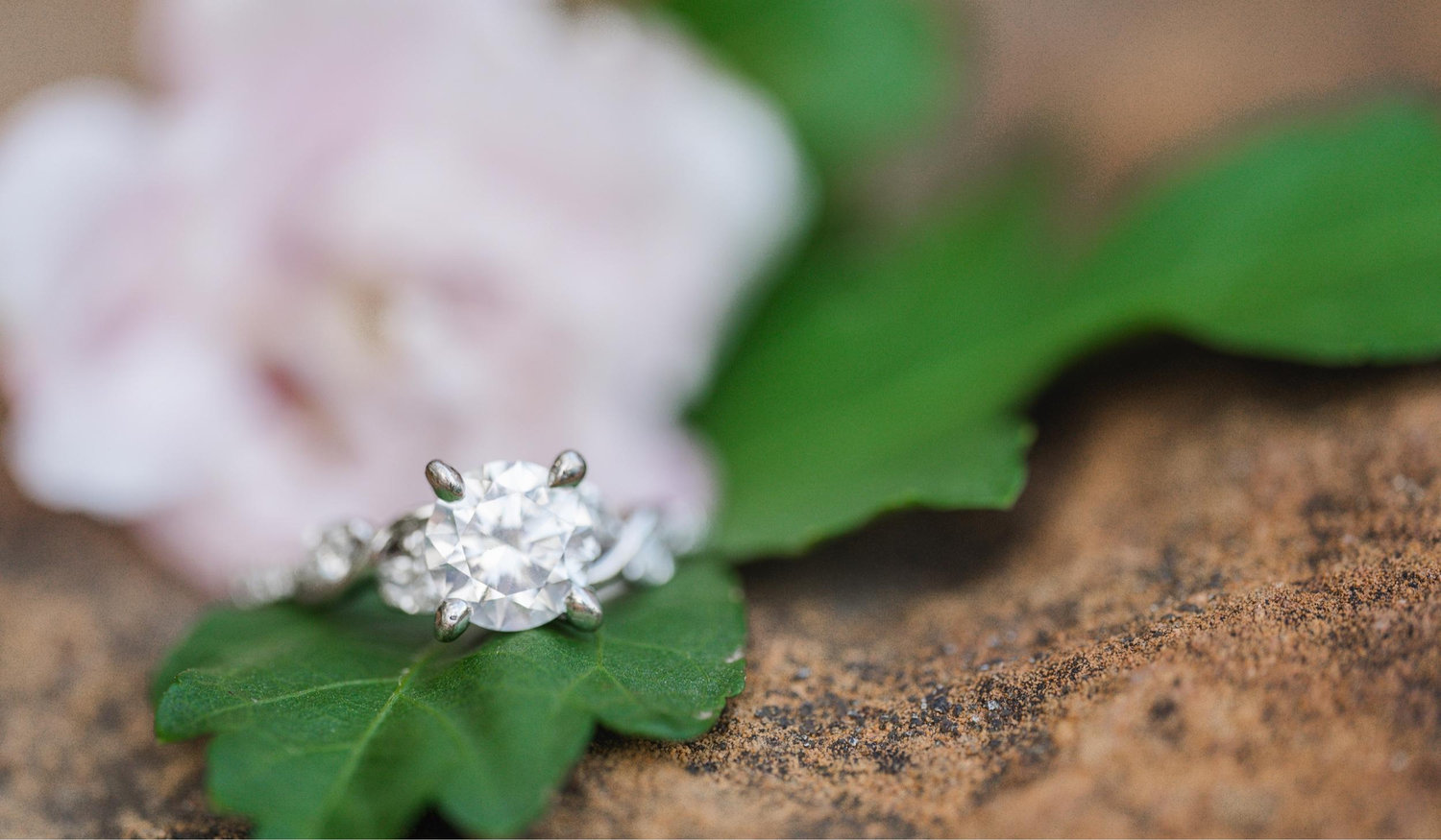 The Wedding Website of Kathryn Rice and Jonathon Pekar