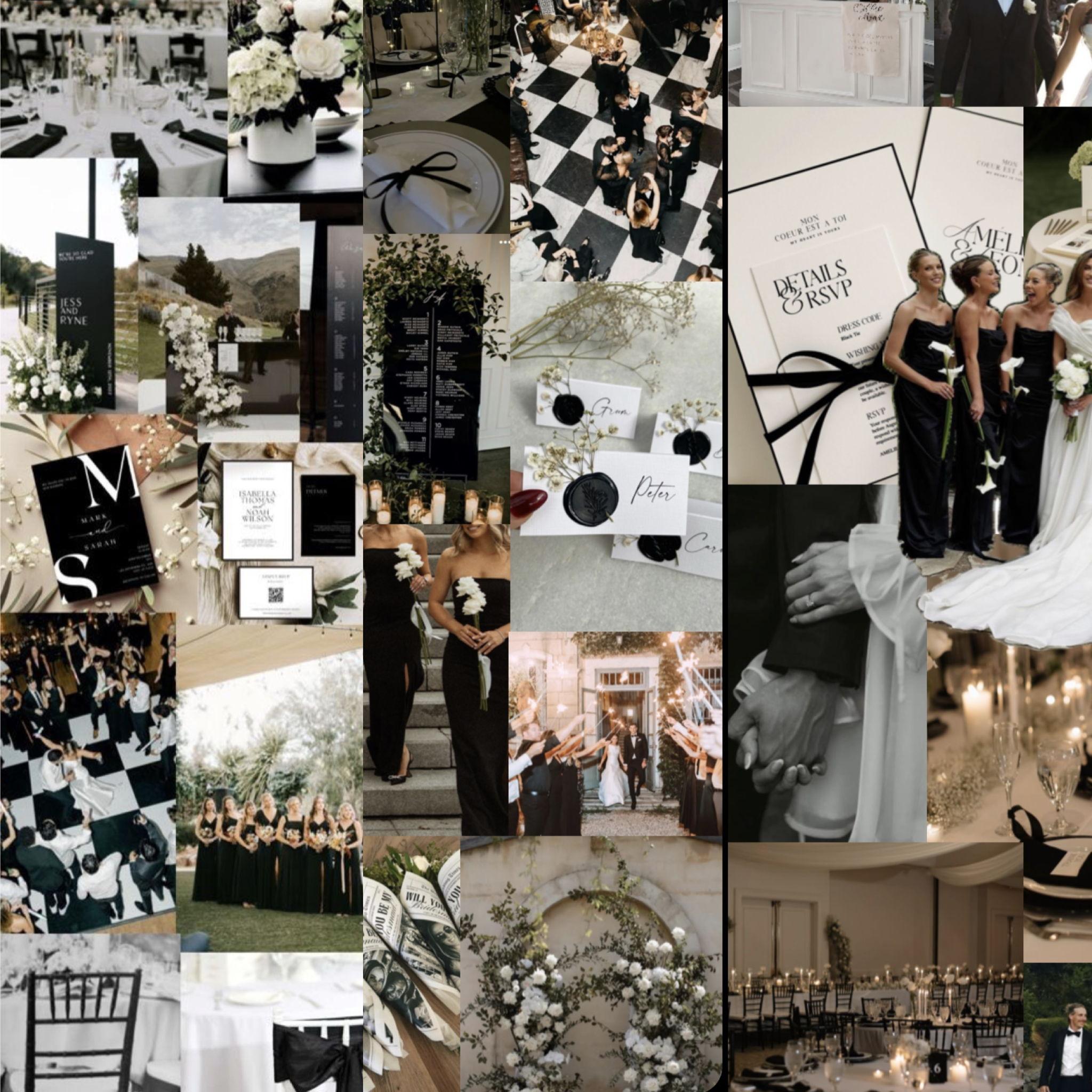 The Wedding Website of Navi Schalin and Judah Vignery