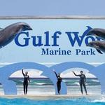 Gulf World Marine Park