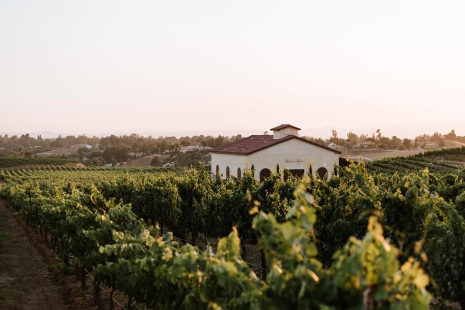 The Wedding Website of Ravyn Jenkins and Andrew Engler