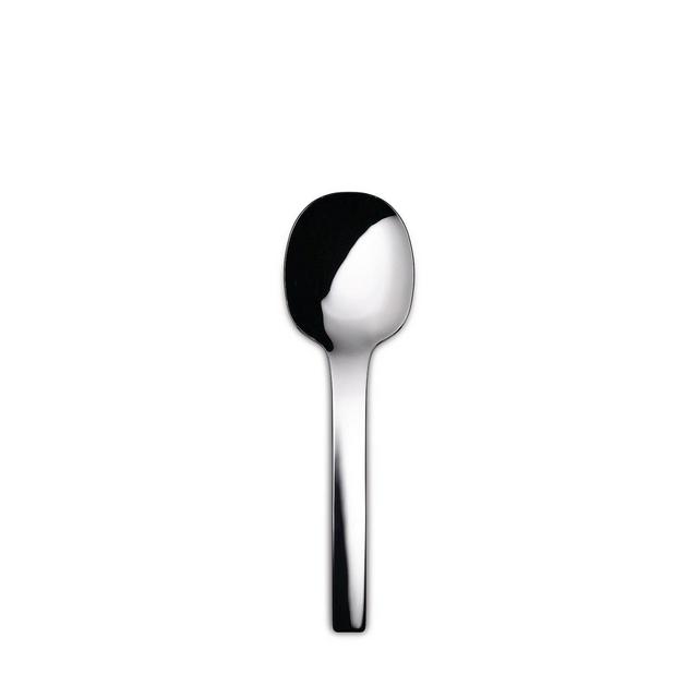 Rice and Vegetable Spoon