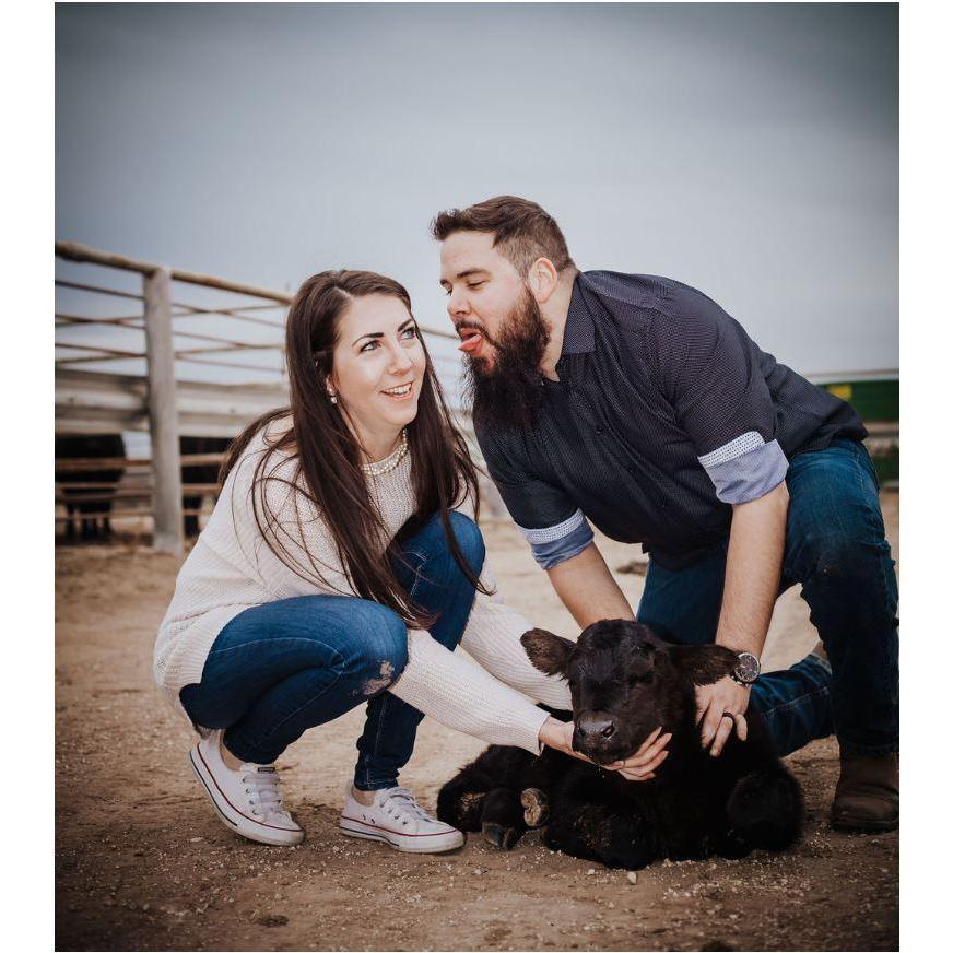 Cow Kisses