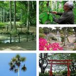 National Botanical Garden Dr. Rafael María Moscoso