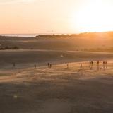 Jockey's Ridge State Park