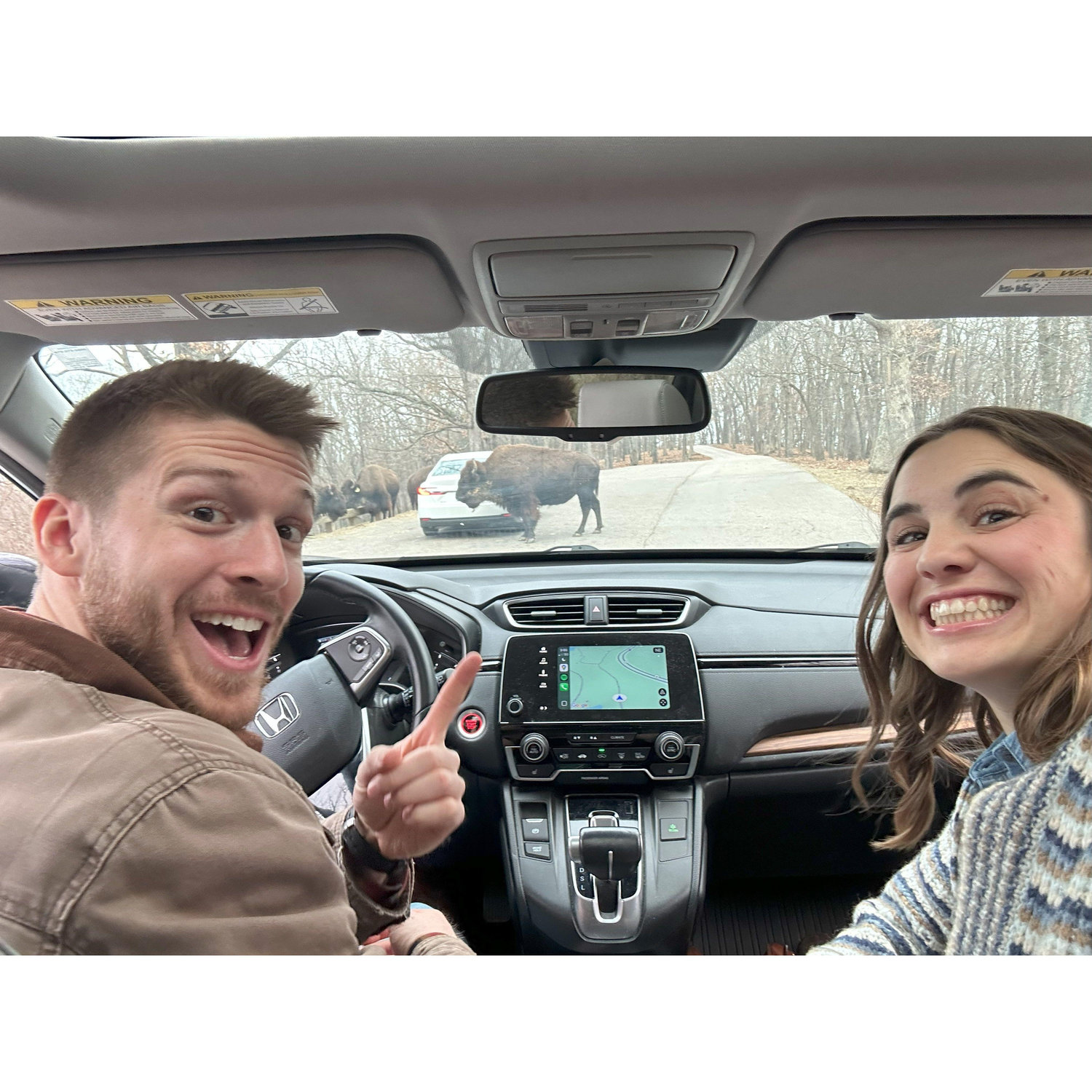 Walker took Abby to see her favorite animal, buffalo, right before the hike to their proposal. He really knows how to throw her off!