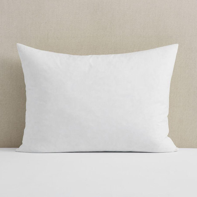 Oversized Pillow Insert, Set of 2