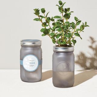 Mint Garden Jar