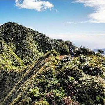 Completed the Wiliwilinui Ridge hike