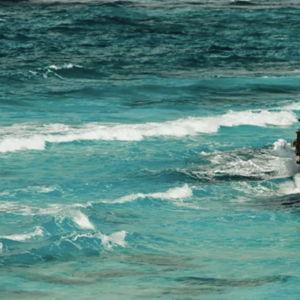 Honeymoon Experience! Full day private Snorkeling and Boating