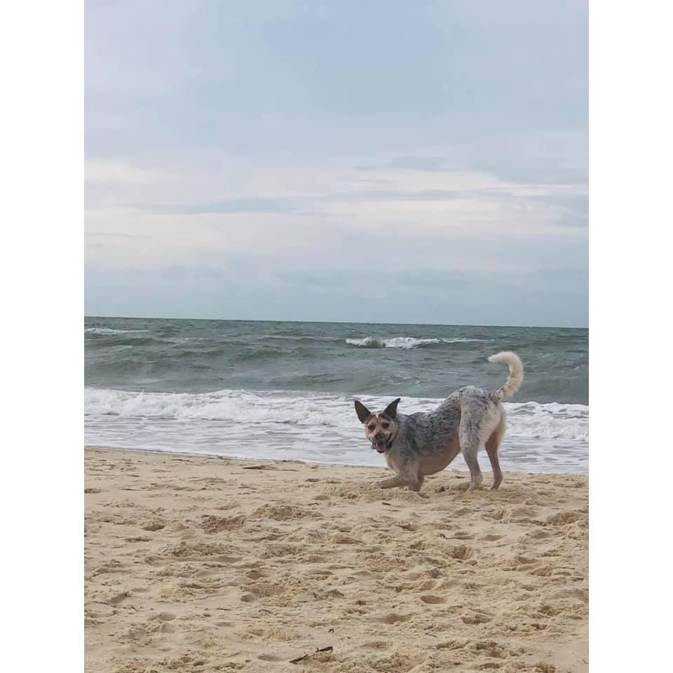 Axel digging at St. George 
