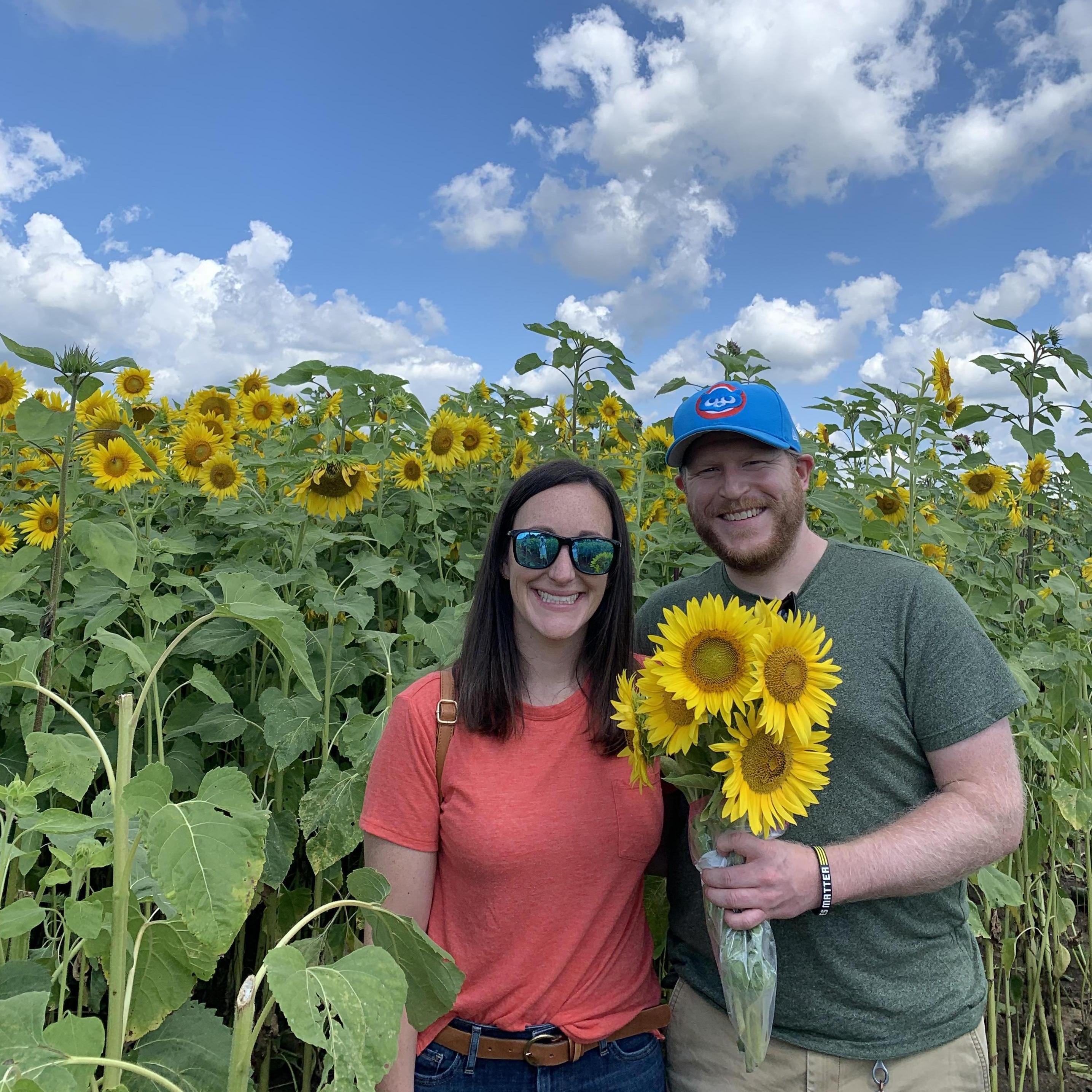 Sunflower Farm in Wisco