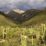 Sabino Canyon