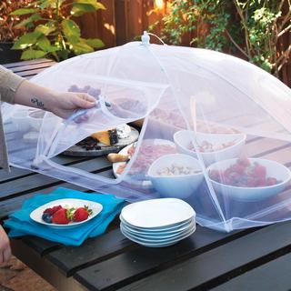 Insect Repellent Food Tent