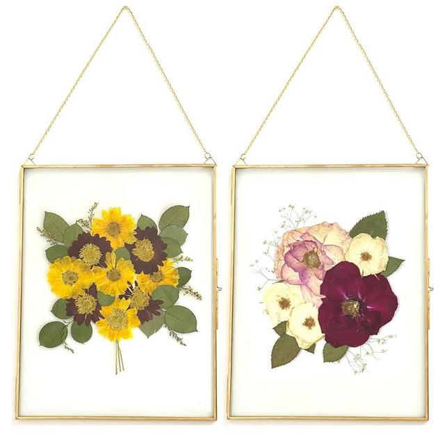 Beedecor Double Glass Frame for Pressed Flowers, Leaf and Artwork - Set of 2 Hanging Picture Frames, Tempered Glass Floating Pressed Flower Frames, Large Rectangular Wall Decor Photo Display, Clear Metal Glass Frames with Chain (11x14, Gold)