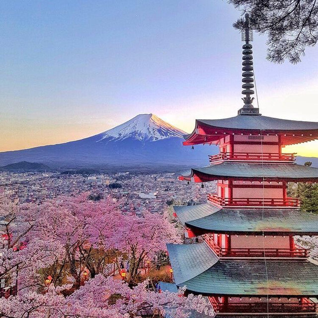 Honeymoon to Japan