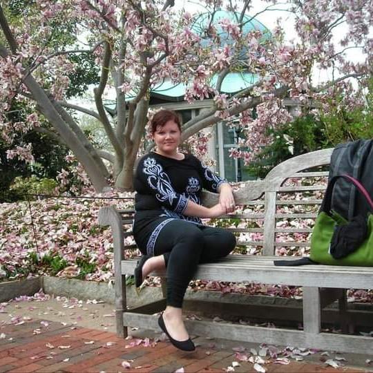 Cherry blossoms in DC