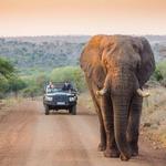 Aquila Safari - Private Game Reserve