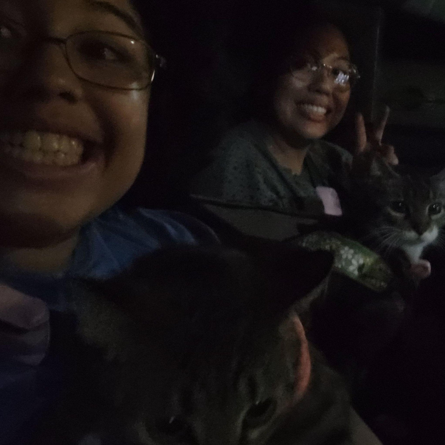 7 months later, God gave us to opportunity to pack up ourselves and our cats and move to Colorado!