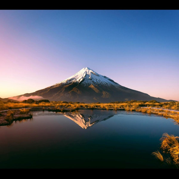 Our Honeymood Fund (New Zealand!)