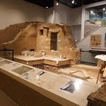 Maxwell Museum of Anthropology
