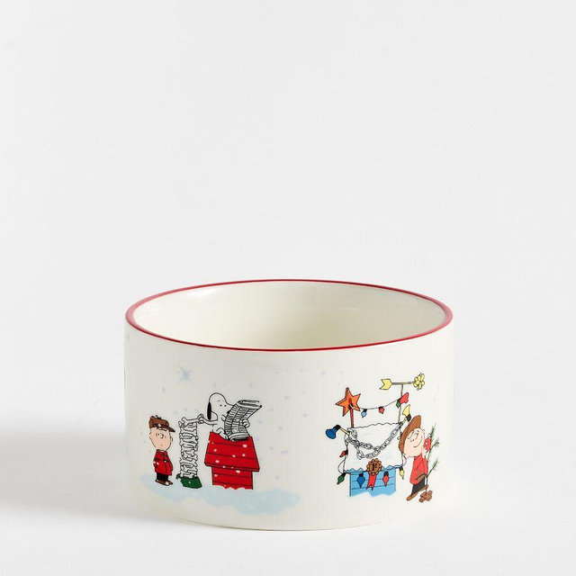 Charlie Brown Christmas Pet Bowl, Small