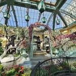Bellagio Conservatory & Botanical Gardens