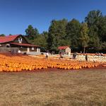 Burts Pumpkin Farm Road