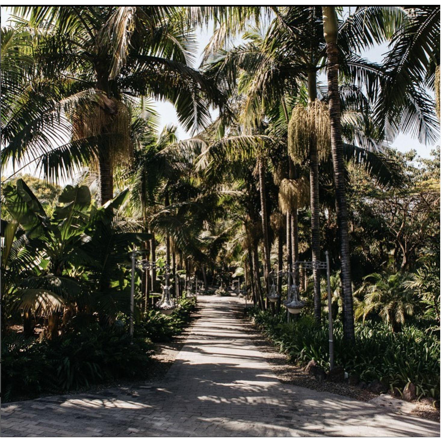 Jardin de la Marquesa de Arucas