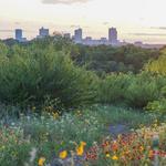 Tandy Hills Natural Area / Stratford Nature Area