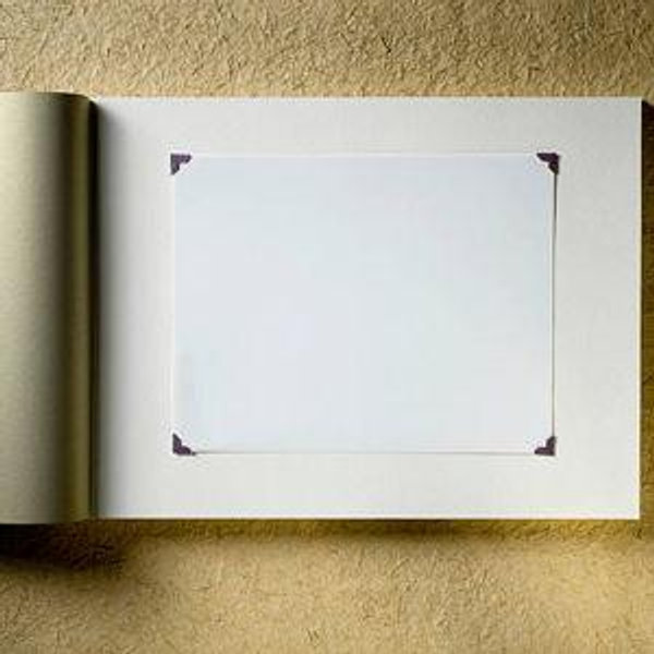 Wedding Photo Album & Framed/Canvas Prints