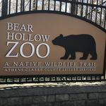 Bear Hollow Zoo