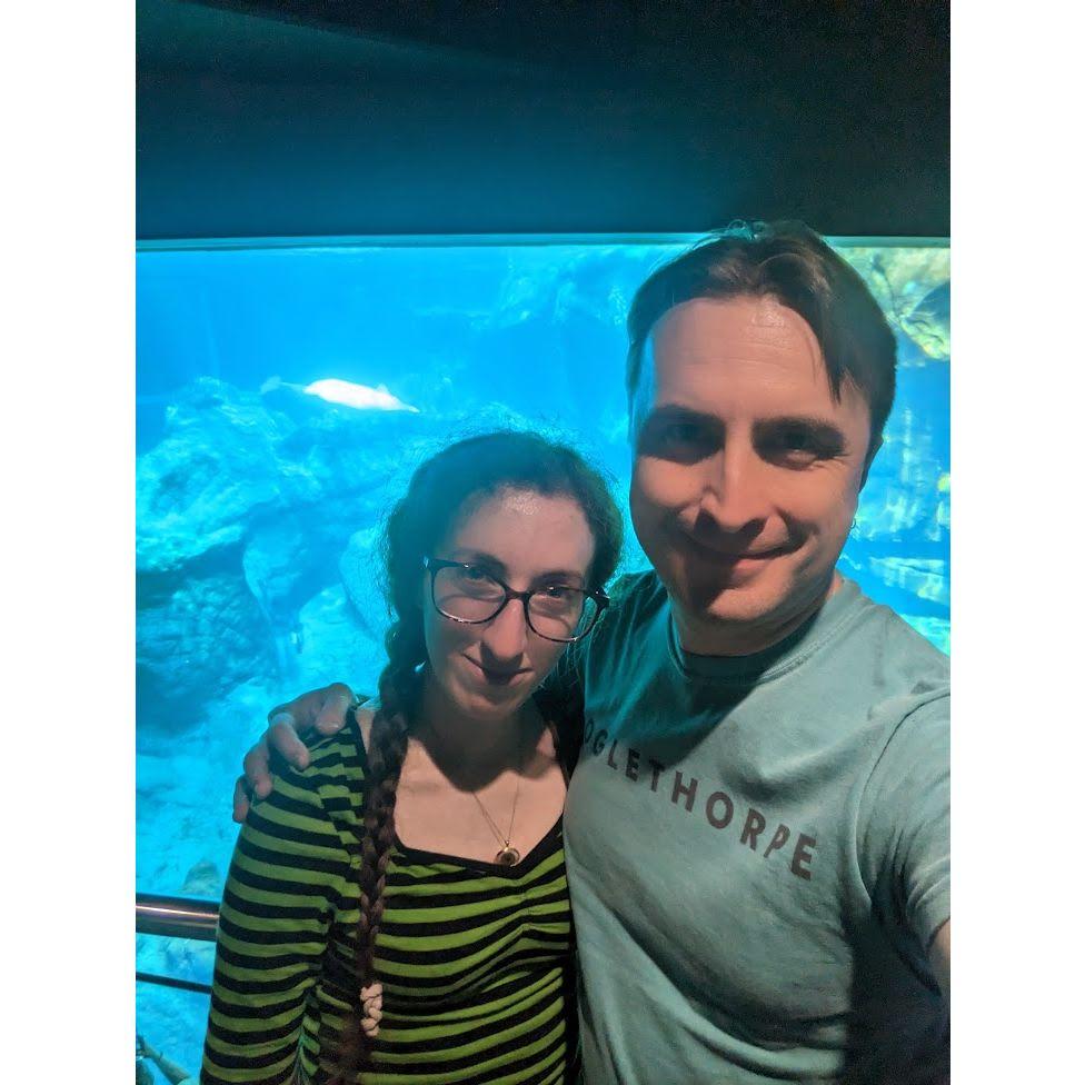 Atlanta Aquarium