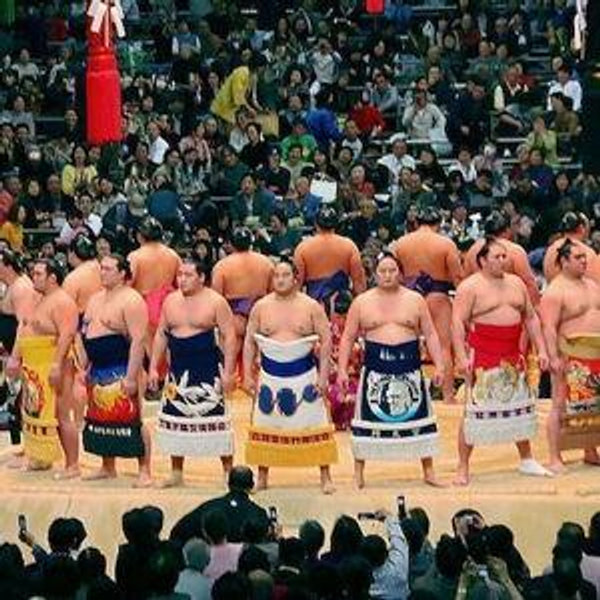 Sumo Wrestling