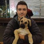 Adopt a Dog