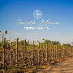 Viñedos Santa Elena