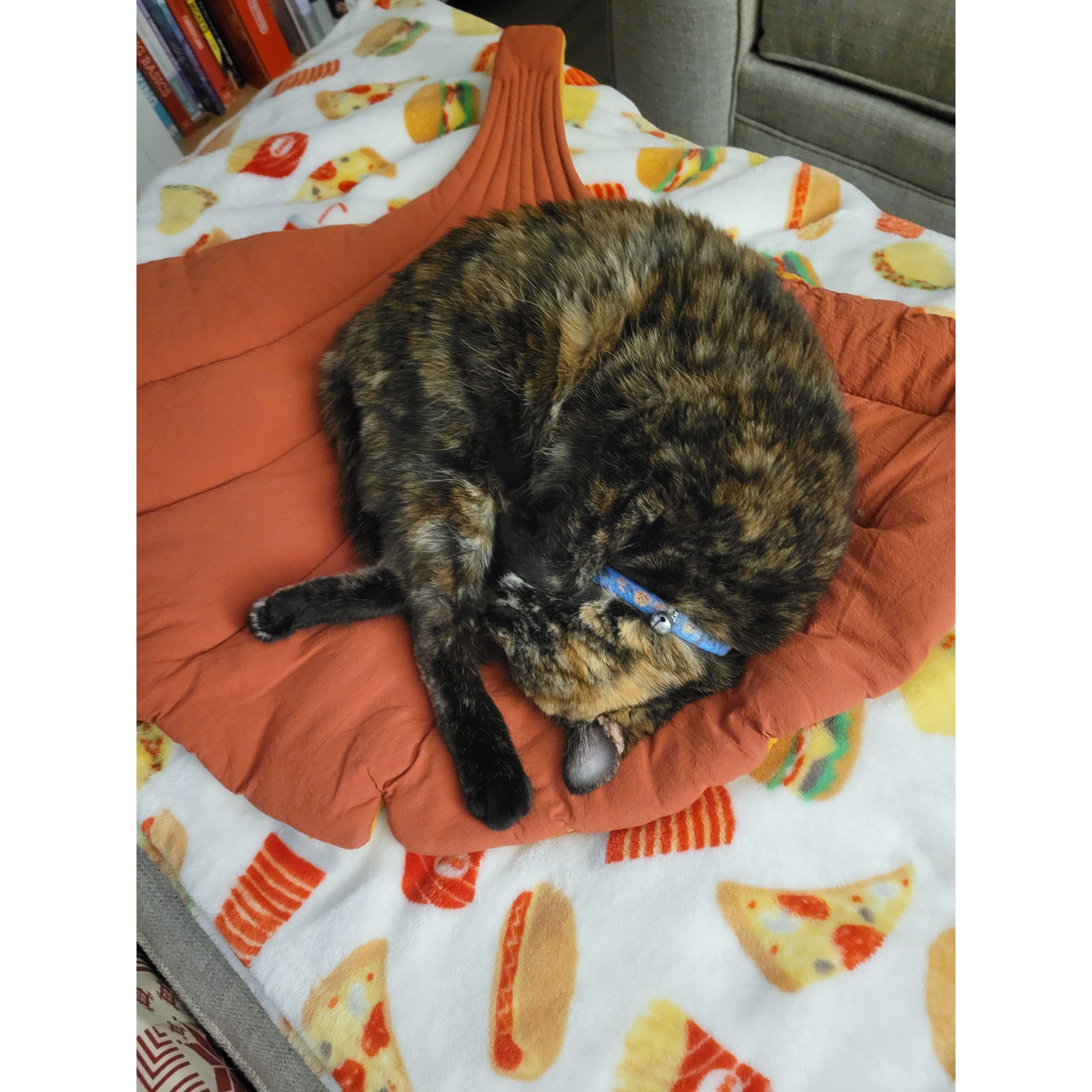 Hana pretzel