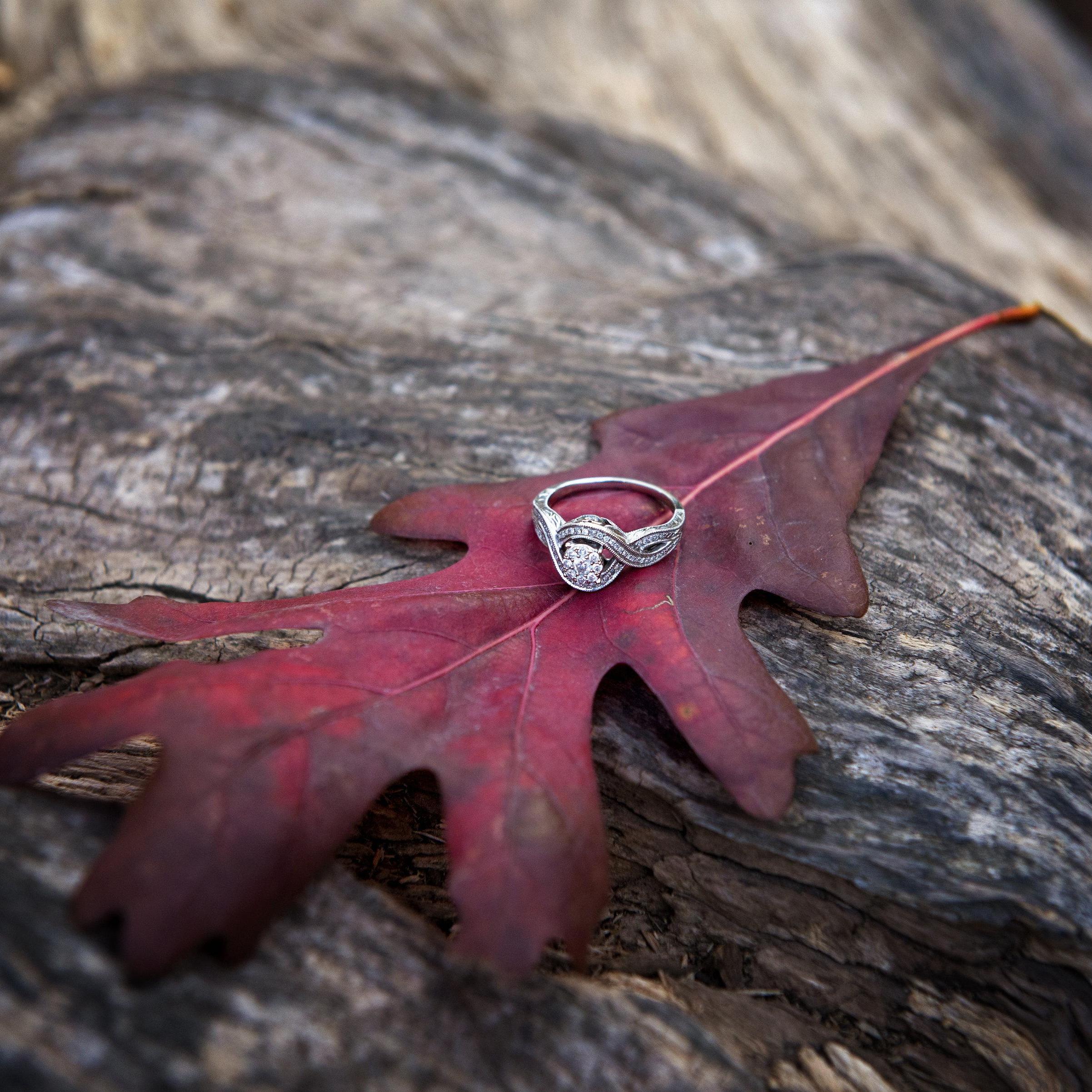 Saying "I DO" as the leaves change their beautiful fall hues.