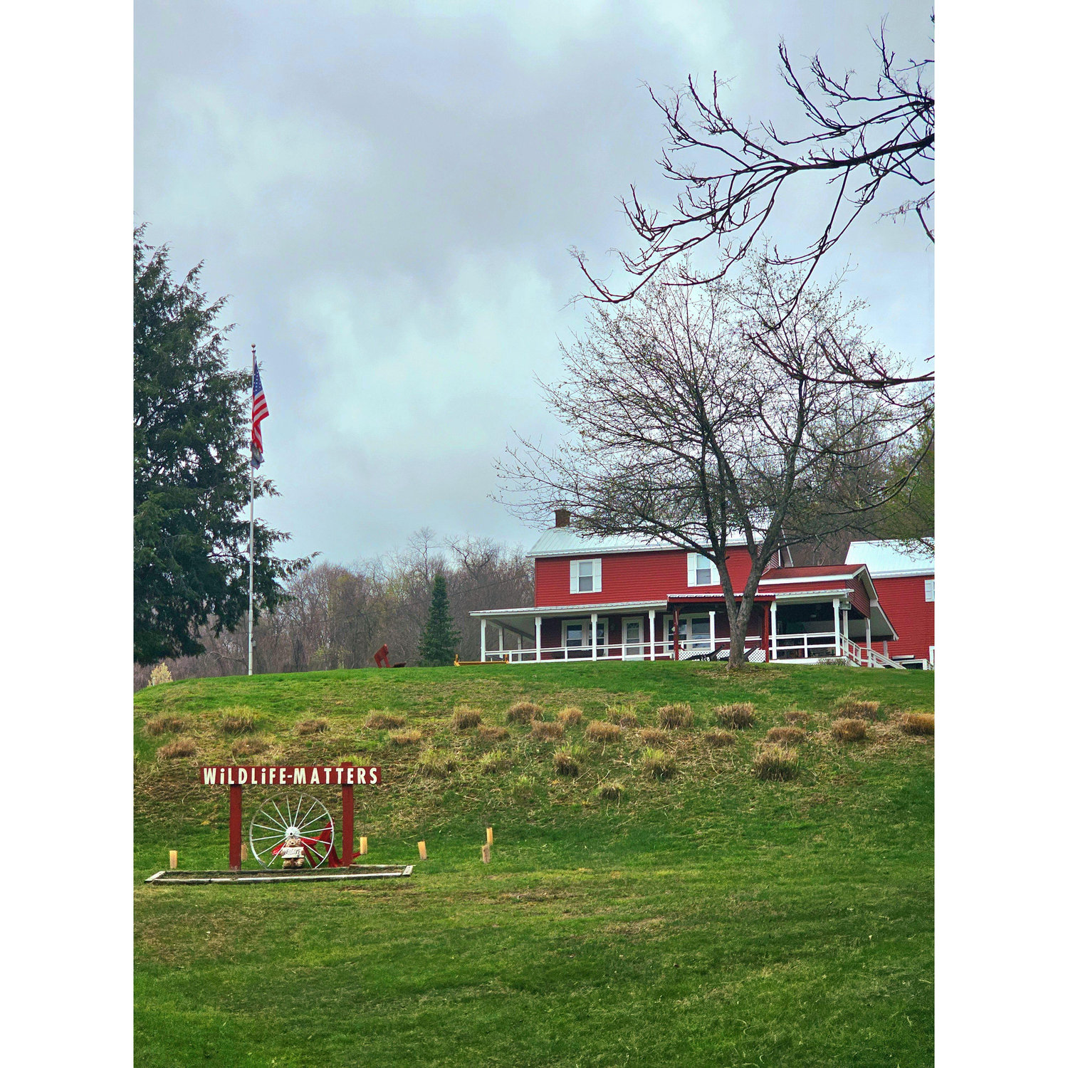 Welcome to the farm